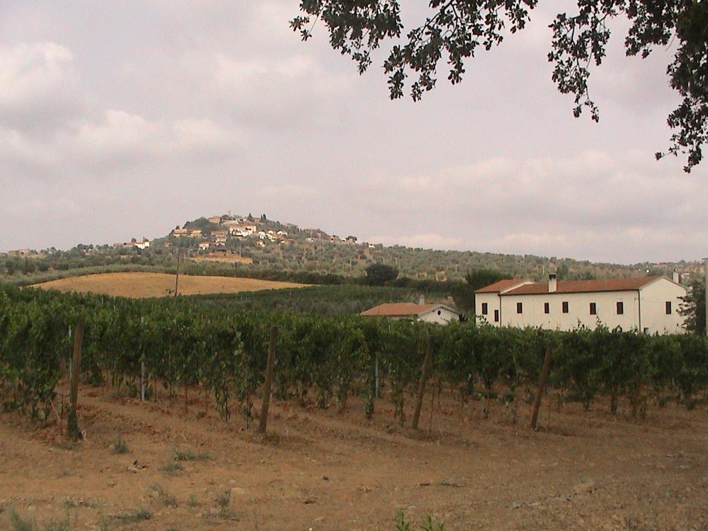 Agriturismo Vigna Mai Magliano in Toscana Zewnętrze zdjęcie