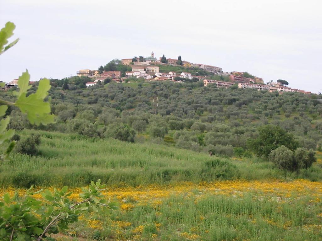 Agriturismo Vigna Mai Magliano in Toscana Zewnętrze zdjęcie
