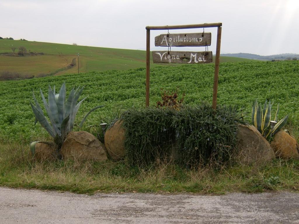 Agriturismo Vigna Mai Magliano in Toscana Zewnętrze zdjęcie